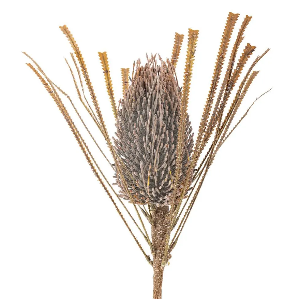 Bloomingville koristeoksa Palmflower ruskea