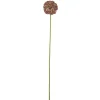 Bloomingville koristeoksa Allium ruskea